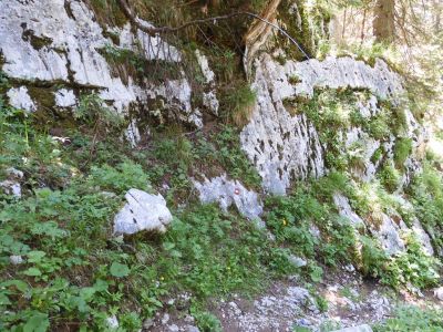 Kliknite za ogled večje slike