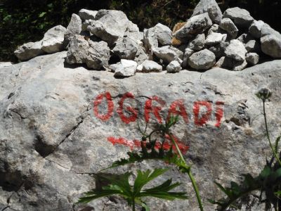 Kliknite za ogled večje slike