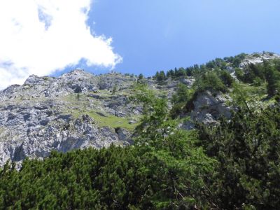 Kliknite za ogled večje slike