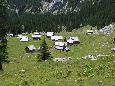 Kliknite za ogled večje slike