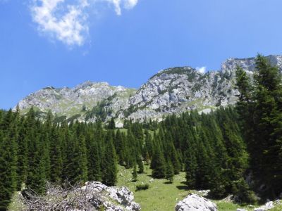 Kliknite za ogled večje slike