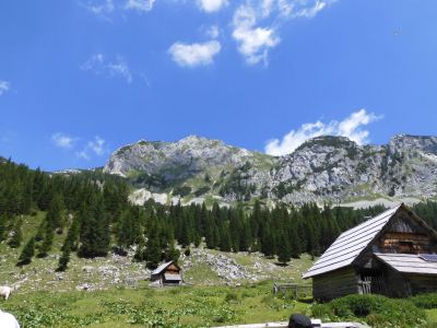 Kliknite za ogled večje slike