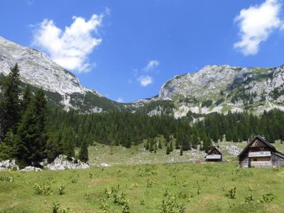 Kliknite za ogled večje slike