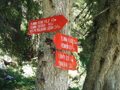 Kliknite za ogled večje slike