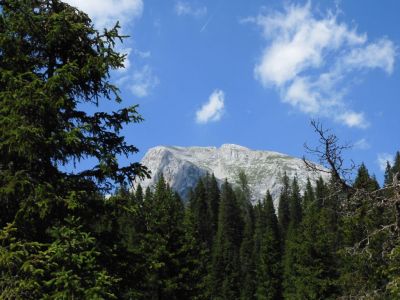 Kliknite za ogled večje slike