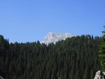 Kliknite za ogled večje slike