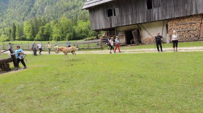Kliknite za ogled večje slike