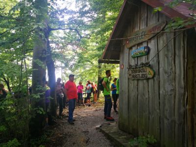 Kliknite za ogled večje slike