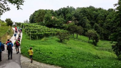 Kliknite za ogled večje slike