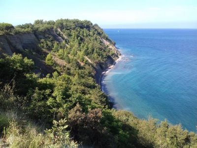 Kliknite za ogled večje slike