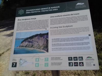 Kliknite za ogled večje slike