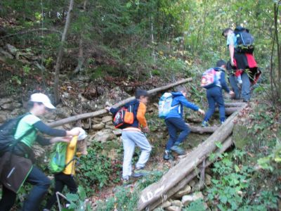Kliknite za ogled večje slike