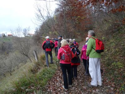 Kliknite za ogled večje slike