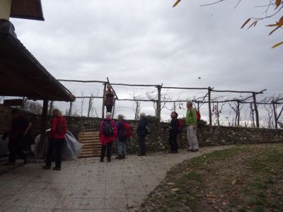 Kliknite za ogled večje slike