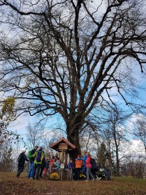 Kliknite za ogled večje slike