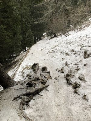 Kliknite za ogled večje slike