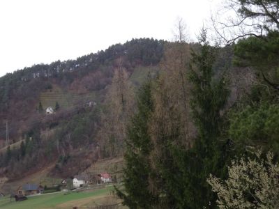 Kliknite za ogled večje slike