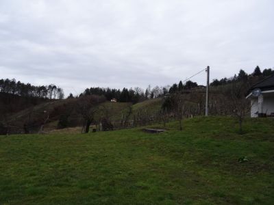 Kliknite za ogled večje slike
