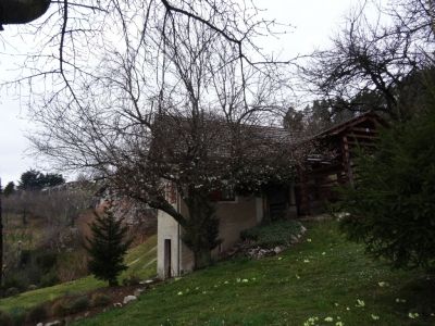 Kliknite za ogled večje slike