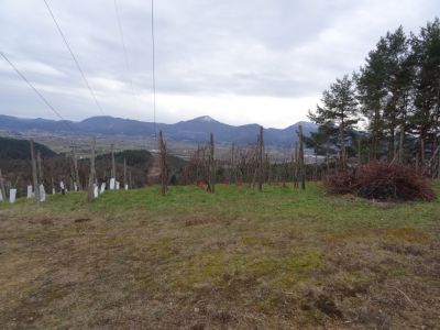 Kliknite za ogled večje slike