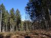 DSC07139.JPG