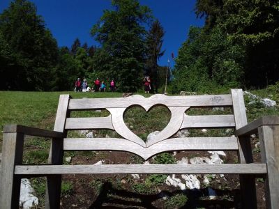 Kliknite za ogled večje slike