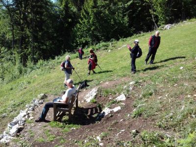 Kliknite za ogled večje slike