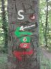 20200628_093937.jpg