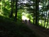 DSC07403.JPG
