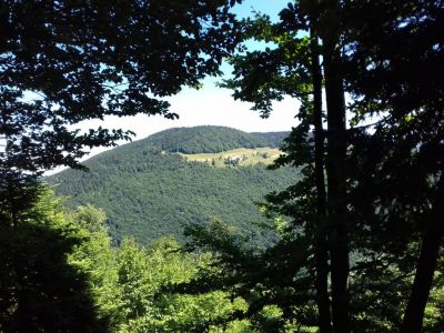 Kliknite za ogled večje slike