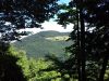 20200708_120709.jpg