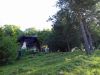 20200711_090826.jpg