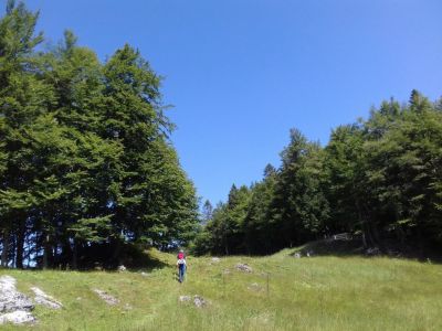 Kliknite za ogled večje slike