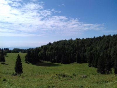 Kliknite za ogled večje slike