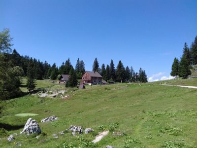 Kliknite za ogled večje slike
