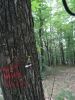 DSC07758.JPG