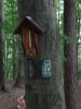 DSC07762.JPG
