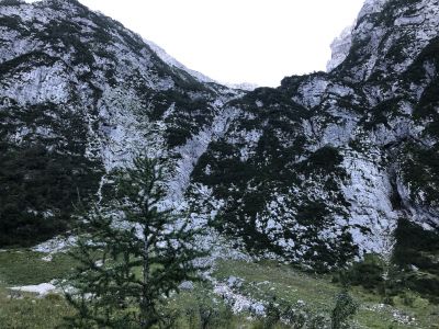 Kliknite za ogled večje slike