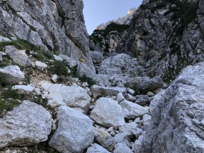 Kliknite za ogled večje slike