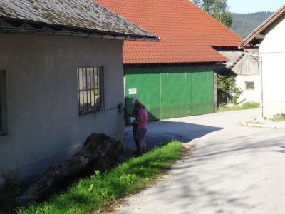 Kliknite za ogled večje slike