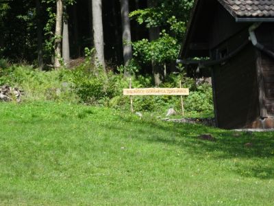 Kliknite za ogled večje slike