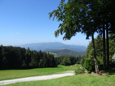 Kliknite za ogled večje slike
