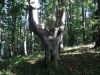 DSC07825.JPG