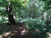 DSC07826.JPG