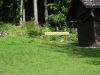DSC07832.JPG