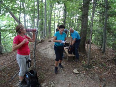 Kliknite za ogled večje slike