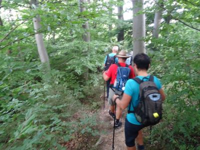 Kliknite za ogled večje slike