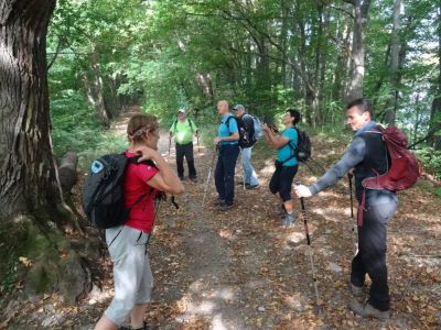 Kliknite za ogled večje slike