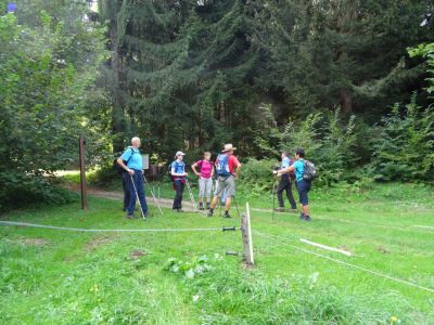 Kliknite za ogled večje slike