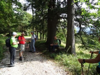 Kliknite za ogled večje slike